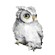 NC Wise Owl