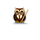Class Website: All About Owls