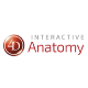 4D Interactive Anatomy
