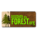 Discover the Forest