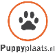 Puppyplaats.nl - Puppies, h...