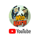Wild Kratts (YouTube)