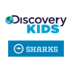 Discovery Kids | Sharks