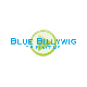 Blue Billywig - Internet Video