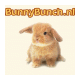 Bunnybunch