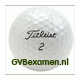 GVBexamen.nl, online cursus voor het GVBexamen