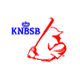 KNBSB - honk- softbal