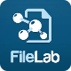 FileLab Windows Cleaner