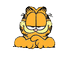 Garfield WIDGET