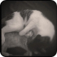 Ilovemyorangecat